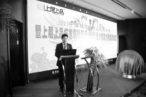 2013年中国硅藻泥产业发展论坛